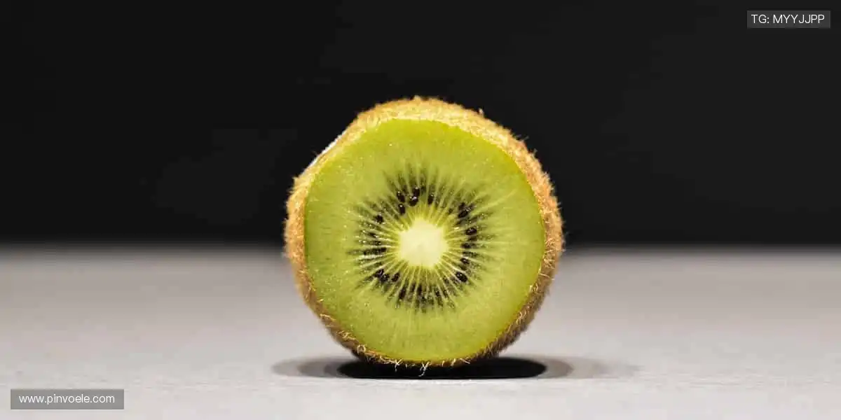 🏆 从看台到赛场，你的每一步都是传奇！🏃♂️